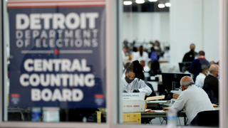 No, There Isn't a ‘Glitch’ in Michigan Election Software That Flipped Thousands of Trump Votes